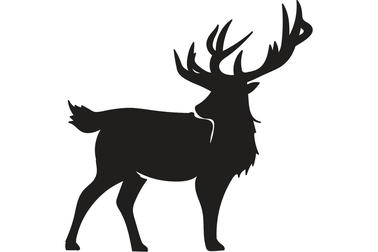 Novel Cooked Dog Meal: Elk Edition