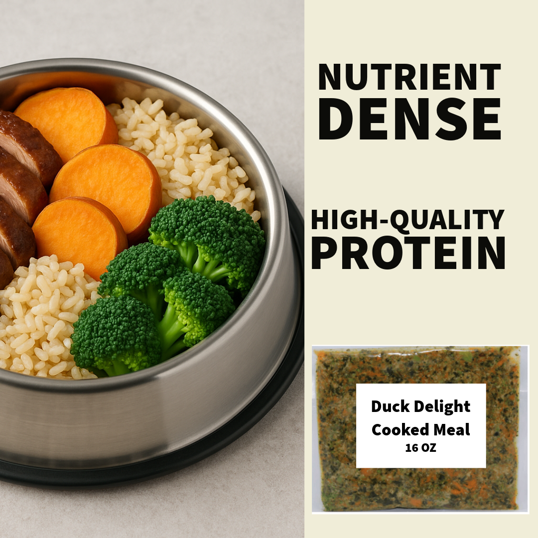 Seasonal Duck Delight