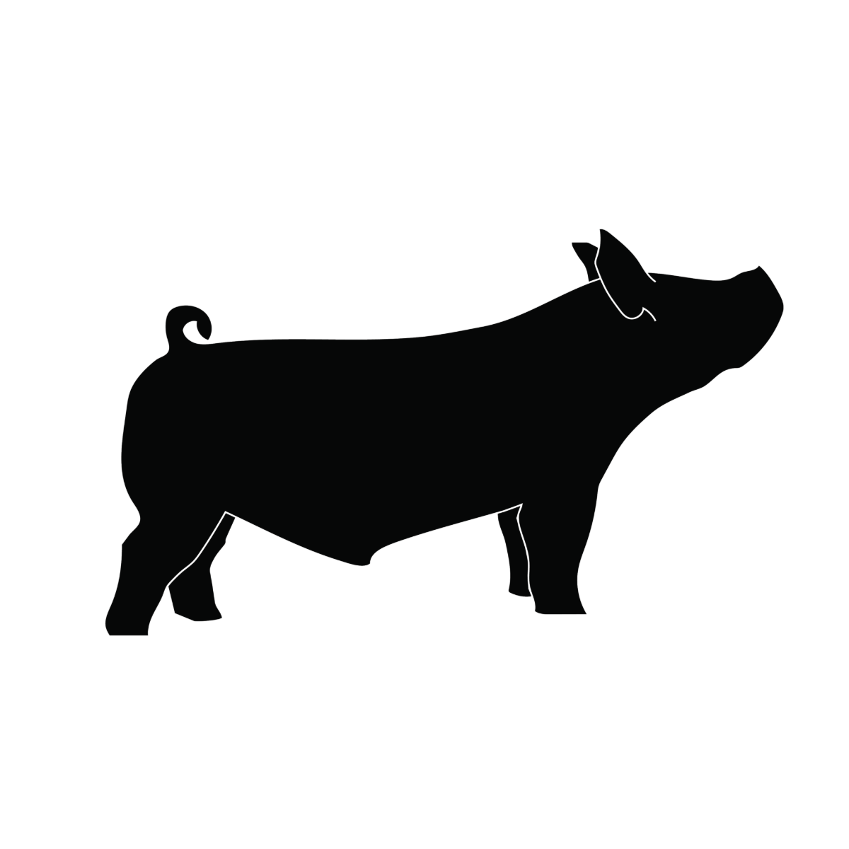 Prime Pork – Gently Cooked Dog Meal