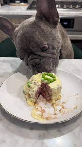 Beef Pupcake with Yogurt Frosting